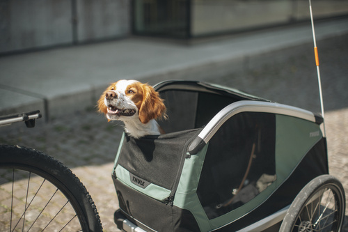 Przyczepka rowerowa dla psa - Thule Bexey M do 35 kg - Haze green