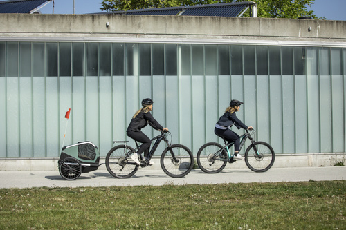 Przyczepka rowerowa dla psa - Thule Bexey M do 35 kg - Haze green