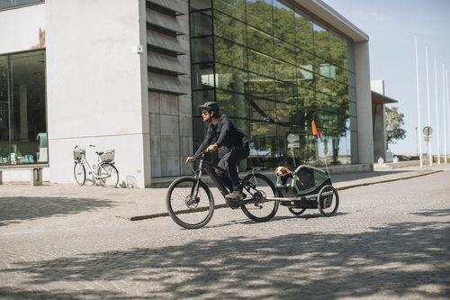 Przyczepka rowerowa dla psa - Thule Bexey M do 35 kg - Haze green