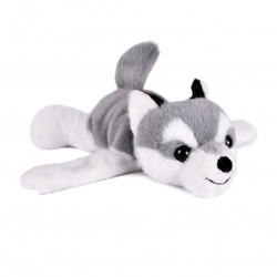 HISTOIRE D'OURS - pluszowa bransoletka slap pies husky Podcoll, jasny szary