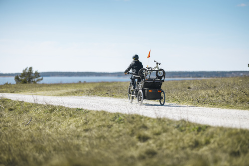 THULE - uchwyt do przyczepki na rowerek biegowy Thule Chariot 2 bike holder