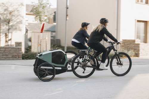 Przyczepka rowerowa dla psa - Thule Bexey M do 35 kg - Haze green